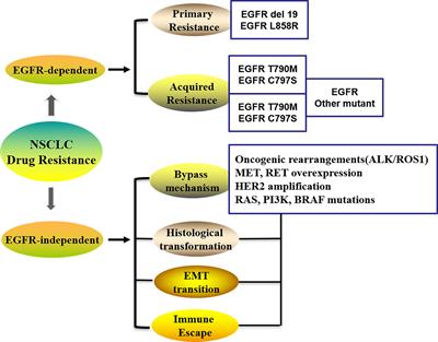 SIRT1/PGC-1α/PPAR-γ Correlate With Hypoxia-Induced Chemoresistance in Non-Small Cell Lung Cancer